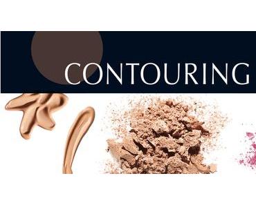 [Preview] ebelin "Contouring" Limited Edition