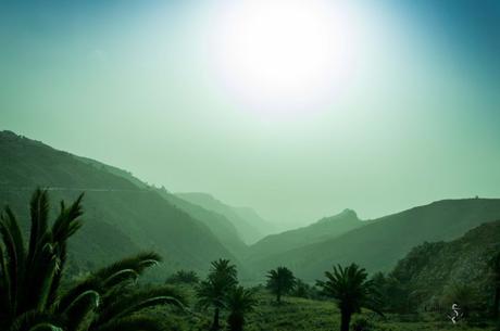 Nebel in La Gomera