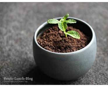 Rezept: Pot Ice Cream / Blumentopf-Eis