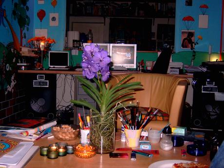 Foto: blaue Vanda-Orchidee