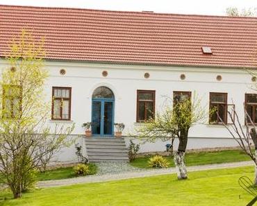 Denken wir an unsere tierischen Freunde-Tierschutzhof Horsearound