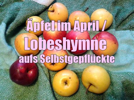 Apfel_Titel