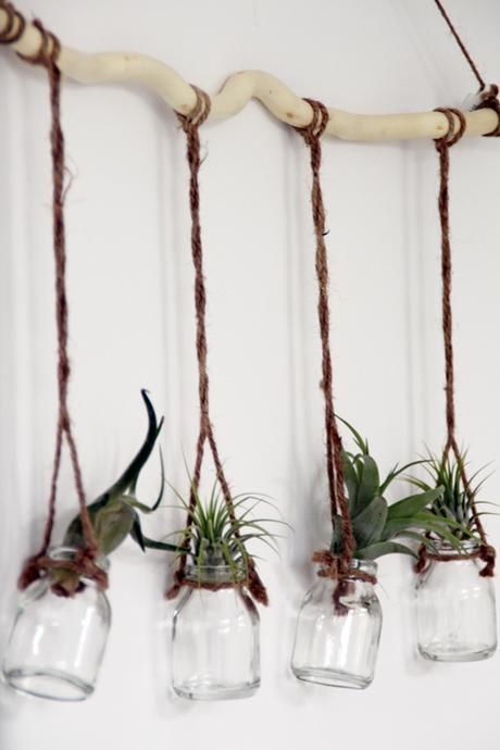Luftpflanzen feiern ein Comeback, Blumenampel aus Makramee,Plants and Glass, Urban Jungle Blogger