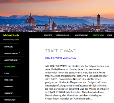 Kundenmeinungen zum Traffic-Wave-Portal