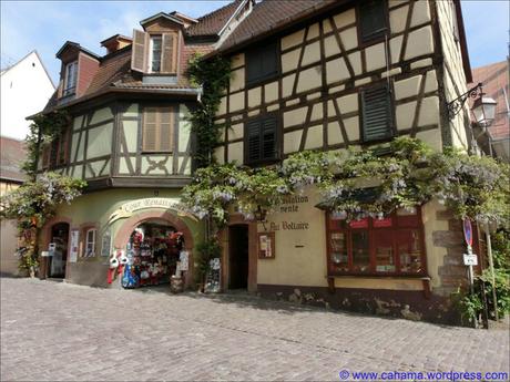 comp_CR_CIMG1398_Riquewihr