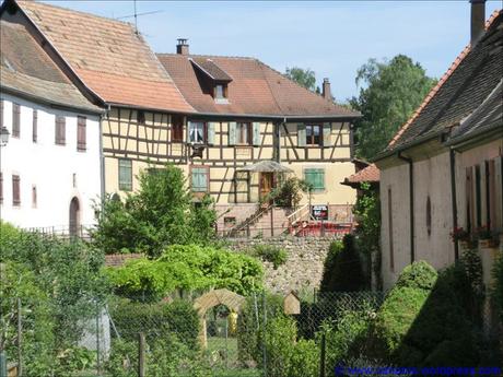 comp_CR_CIMG1633_Bergheim