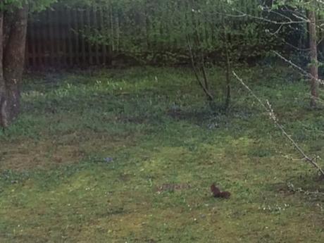 Spruch zum Wochenende: Zwei Dinge