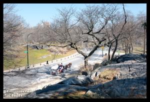 EISWUERFELIMSCHUH - Laufen Im Central Park Von New York (30)