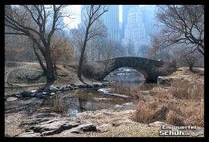 EISWUERFELIMSCHUH - Laufen Im Central Park Von New York (38)