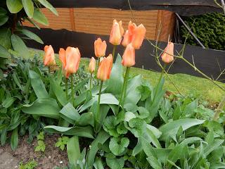 Einen sehr gemütlichen Samstag Nachmittag,