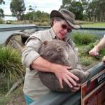Einzigartig – Australiens Tierwelt
