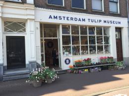 Tulpenmuseum (c) Reise Leise
