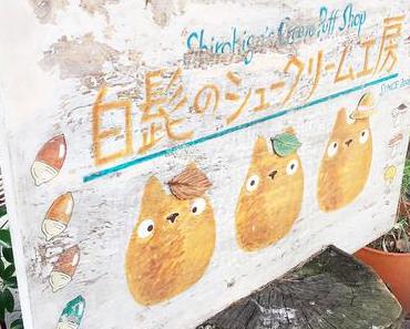 Totoro Cafe + Studio Ghibli Museum Tokyo