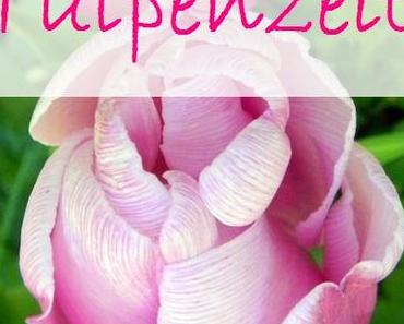 Tulpenzeit