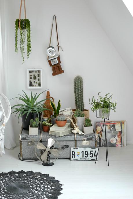 Urban Jungle Bloggers: Plants & Glass