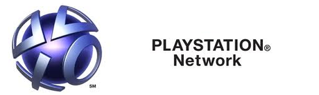 psn2013