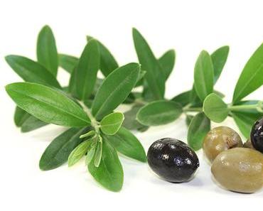 Olivenblattextrakt: vielseitig wirkungsvoll