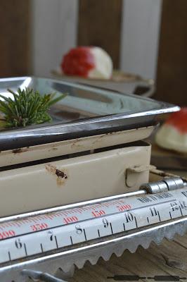 Mini Rhabarber Joghurt Gugls / Rhubarb Yogurt Ice Cream Bundt Cake