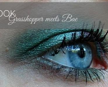 LOOK: Green Grasshopper