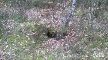 Cam Underfoot #17: Fuchsbau