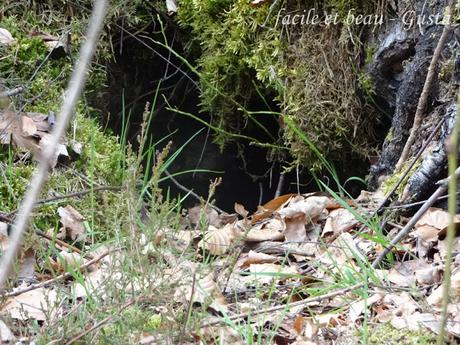 Cam Underfoot #17: Fuchsbau