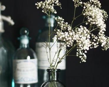 Flowers | Weißes Schleierkraut