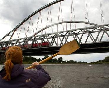 Kommentar zu Die Elbe gibt’s nicht geschenkt von Winterschlaf einer Füchsin beobachtet | Reisezweier