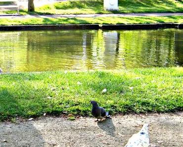 Frühstück im Park #lovelife