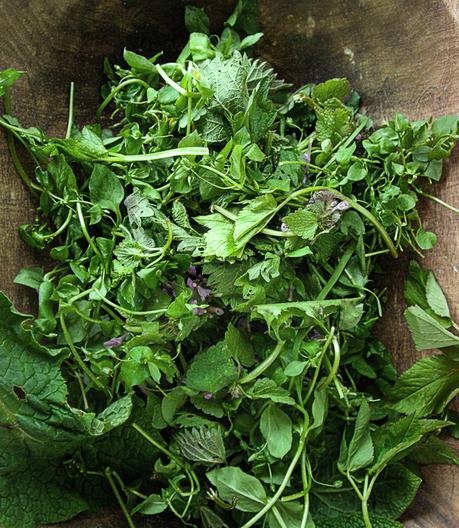 Cornbread with Cheese + Wild Herbs