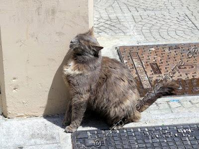 Cinny auf Zypern - Teil 2