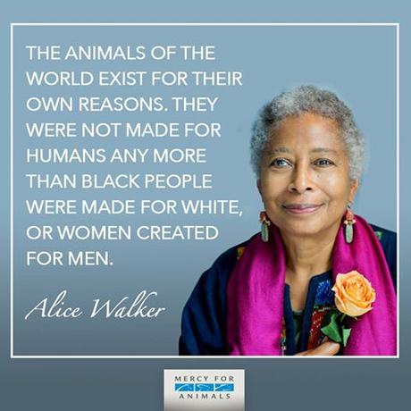 13083289_10153837931214475_1359133283757447116_n