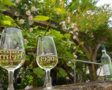 Gutedelwandertag 2016