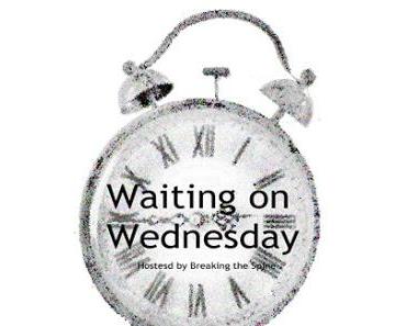 [WoW] Waiting on Wednesday #30 Wenn Freundschaft über alles steht