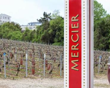 Auszeit in der Champagne