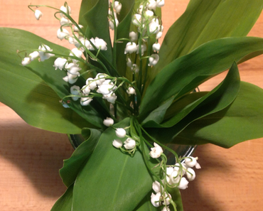 Friday-Flowerday – oder – Mai floral: Maiglöckchen und Pfingstrosen