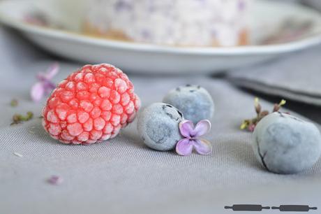 No - Bake Cheesecake mit Himbeeren und Blaubeeren / No - Bake Blueberry and Raspberry Cheesecake