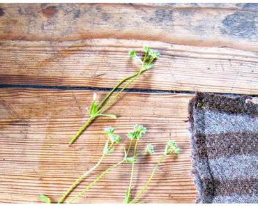 Wochenrückblick {Photography}