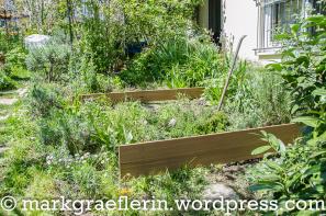 Garten Mai 2016_2