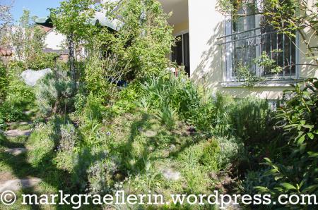 Garten Mai 2016_1