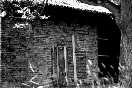 Blog + Fotografie by it's me! | fim.works | SchwarzWeissBlick No 13 | leerstehendes Backsteinhaus mit kaputter Tür