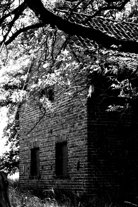 Blog + Fotografie by it's me! | fim.works | SchwarzWeissBlick No 13 | Seitenansicht leerstehendes Backsteinhaus