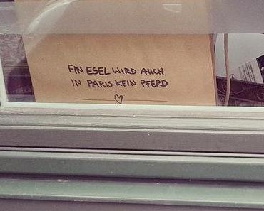 Bock auf Rostock?