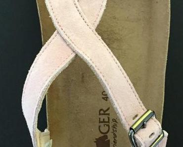 Neue Gassi-Begleiter