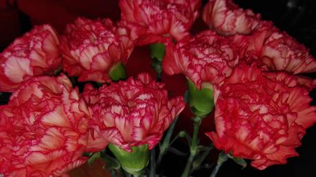 IMG_20160514_122455k