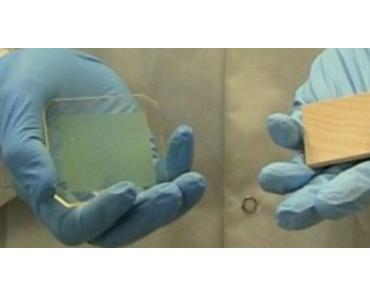 Clickbaiting mit transparentem Holz