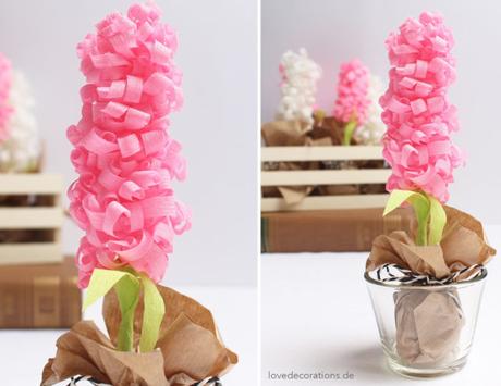 DIY Hyazinthe