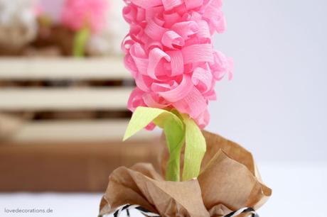 DIY Hyazinthe