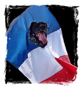 Der französische Staat ignoriert die Hundeverrücktheit seines Volkes