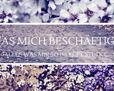 Was mich beschäftigt!!! #11