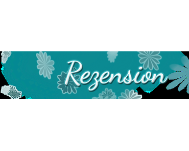 Der Sohn des Donnergottes  Arto Paasilinna